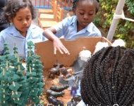 Entebbe Junior Cambridge Science Fair038