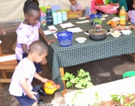 Entebbe Junior Cambridge Science Fair008