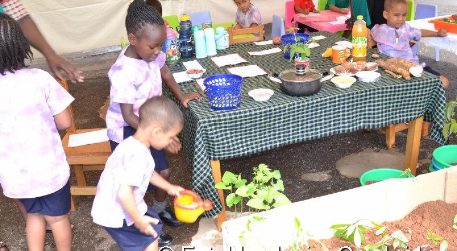 Entebbe Junior Cambridge Science Fair008