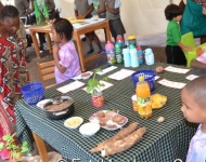 Entebbe Junior Cambridge Science Fair006