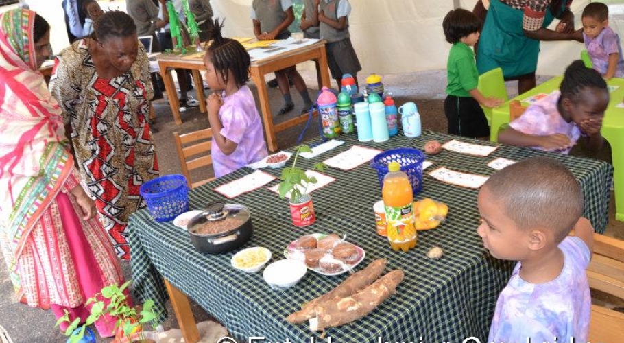 Entebbe Junior Cambridge Science Fair006