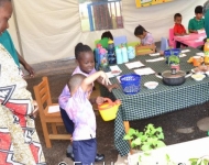 Entebbe Junior Cambridge Science Fair013
