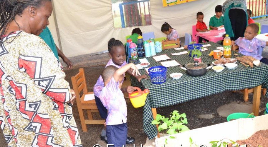 Entebbe Junior Cambridge Science Fair013